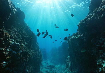 Underwater seascape